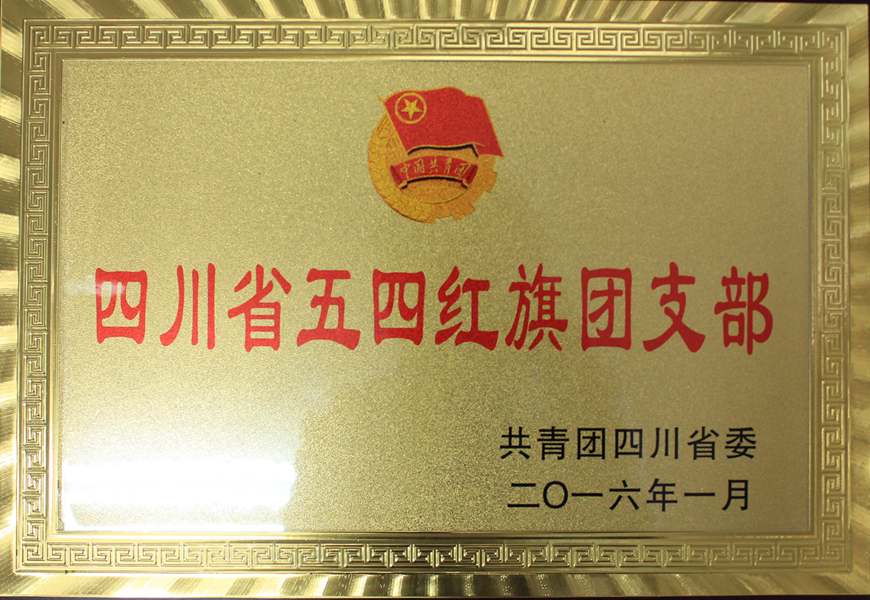 荣获“2015年度四川省五四红旗团支部”称号